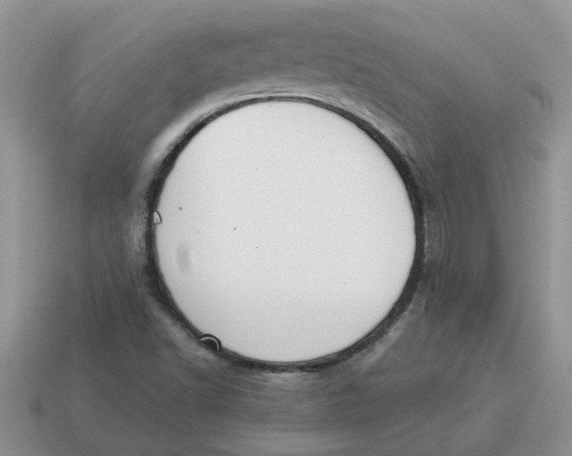X0000114501502200911091059