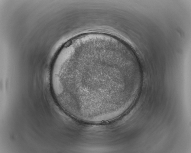X0000114501506200911091059