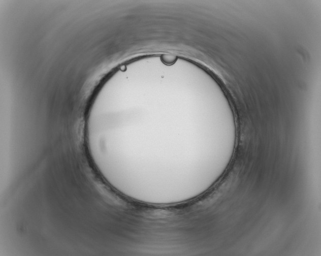 X0000114501507200911091059