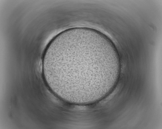 X0000114501509200911091059