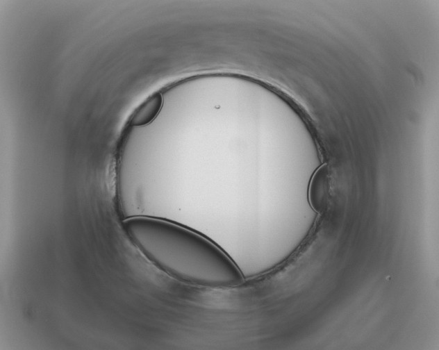 X0000114501510200911091059