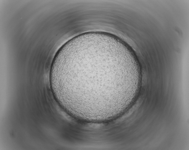 X0000114501513200911091059