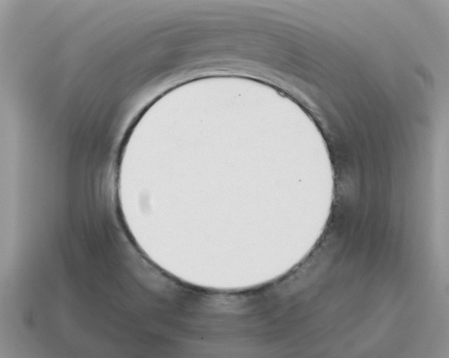 X0000114501514200911091059