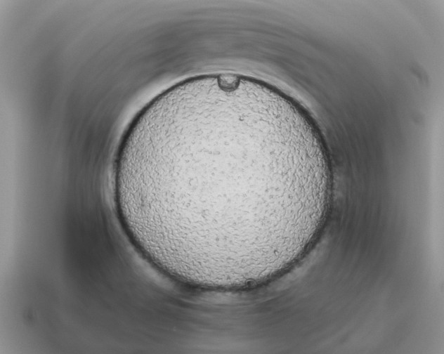 X0000114501517200911091059
