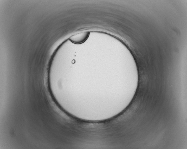 X0000114501518200911091059