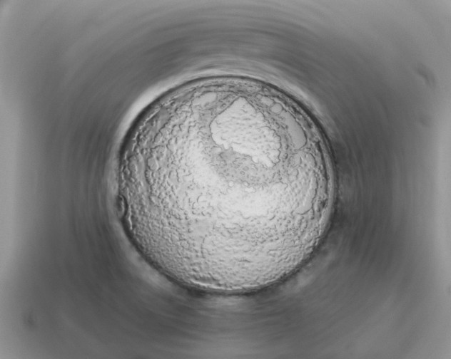 X0000114501522200911091059