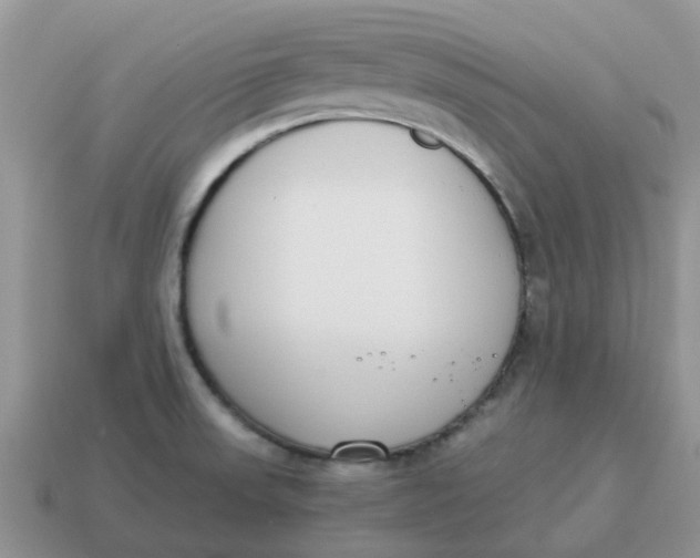 X0000114501523200911091059