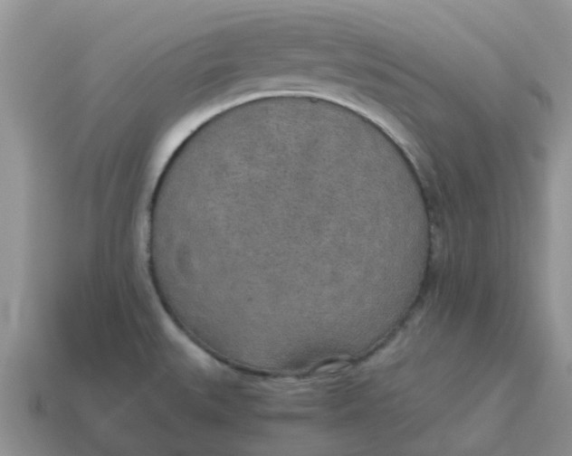 X0000114501527200911091059