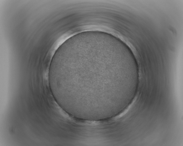 X0000114501529200911091059