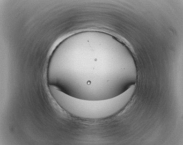 X0000114501530200911091059