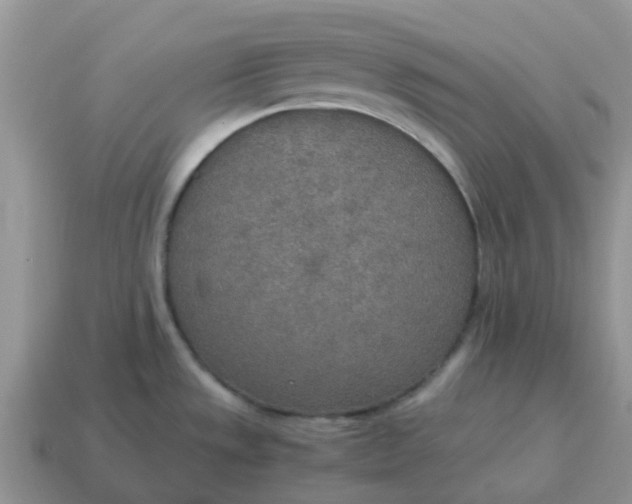 X0000114501533200911091059