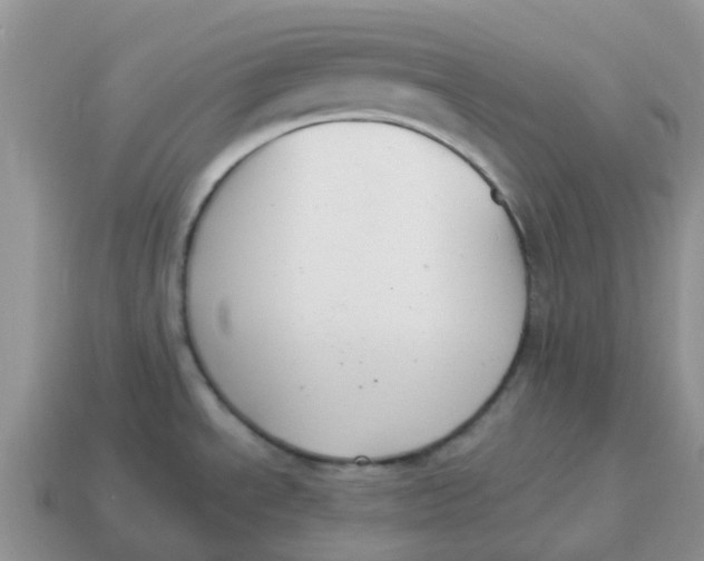 X0000114501534200911091059