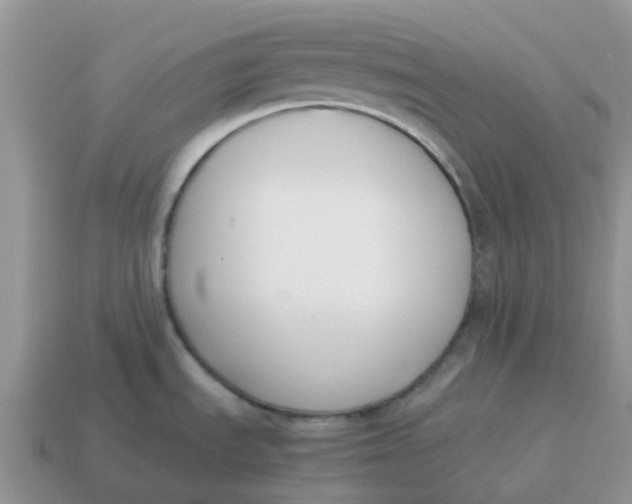 X0000114501535200911091059