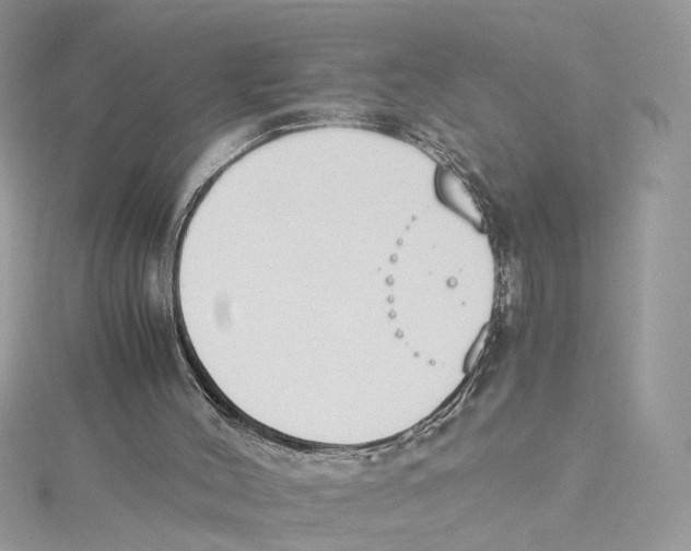 X0000114500004200911161244