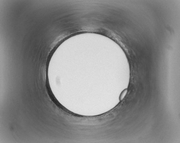 X0000114500011200911161244