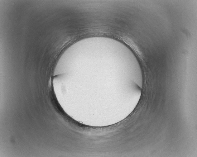 X0000114500021200911161243