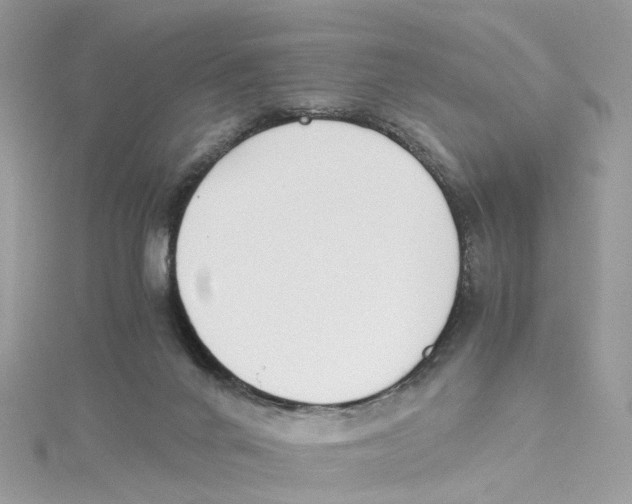 X0000114500024200911161243