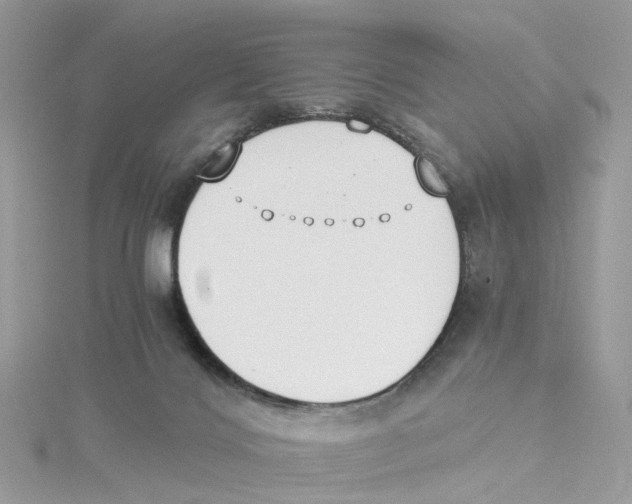X0000114500028200911161243