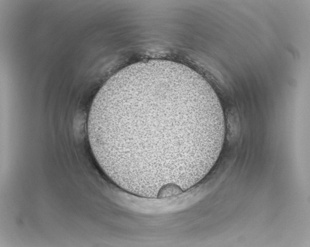X0000114500034200911161243