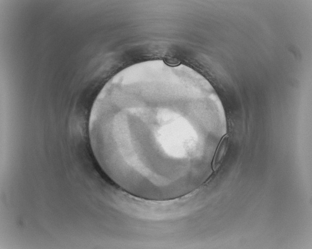 X0000114500035200911161243