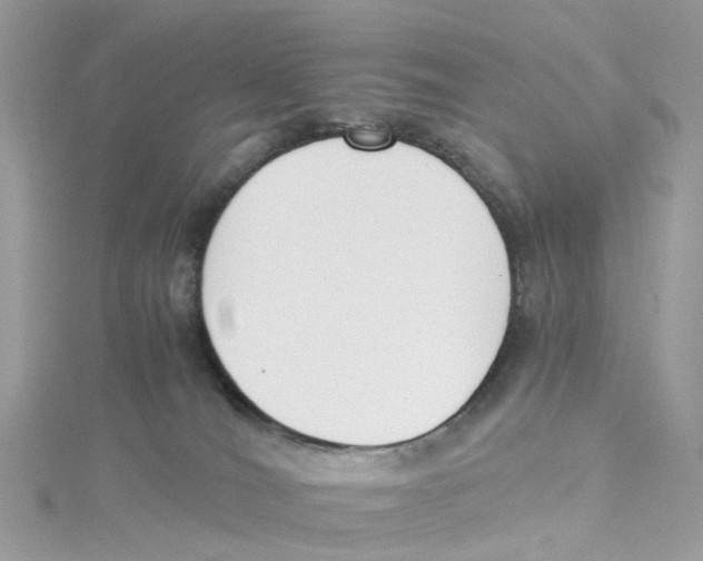 X0000114500036200911161243