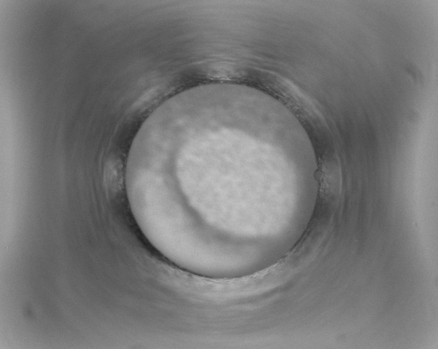 X0000114500043200911161243