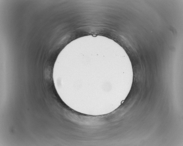 X0000114500044200911161243