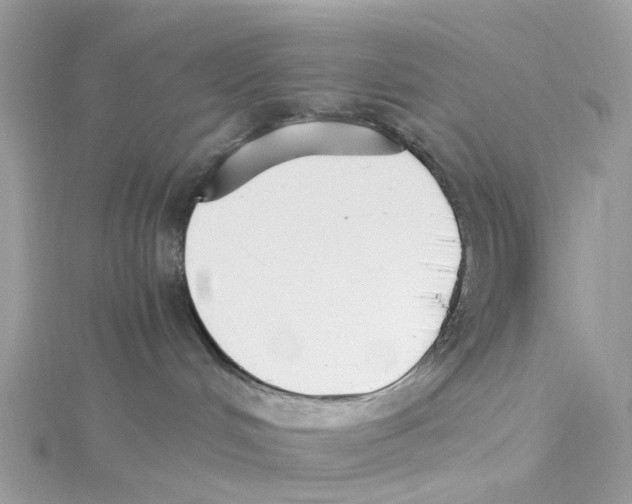 X0000114500048200911161243