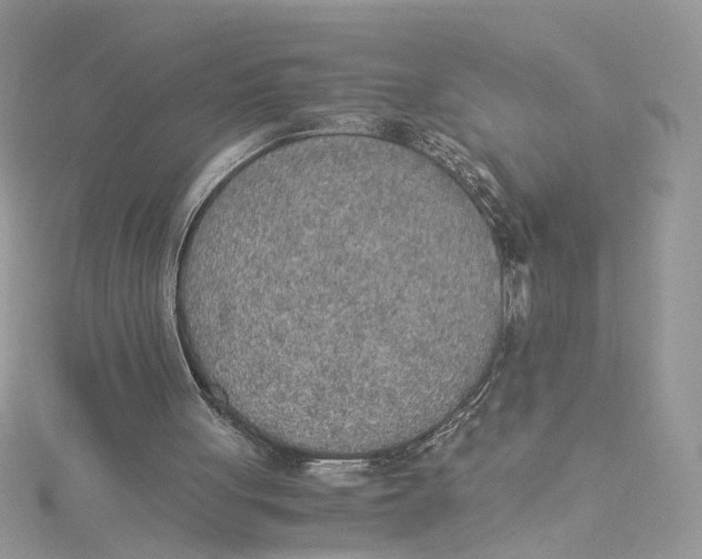 X0000114500051200911161242