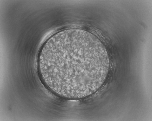 X0000114500053200911161242
