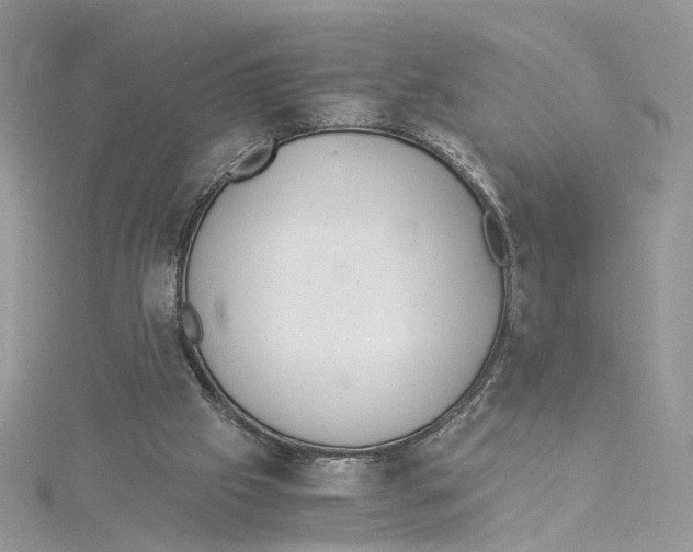 X0000114500057200911161242