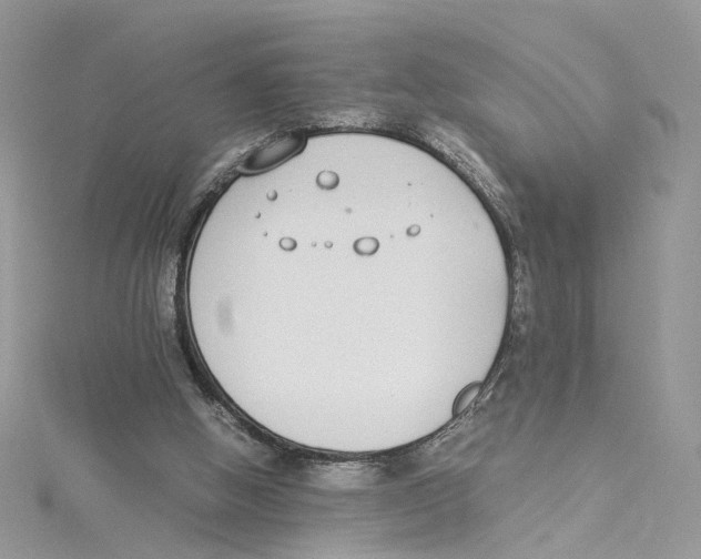 X0000114500058200911161242