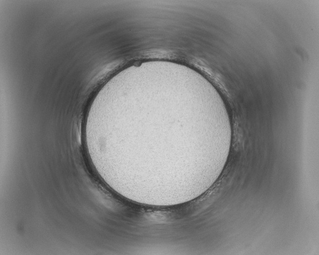 X0000114500062200911161242