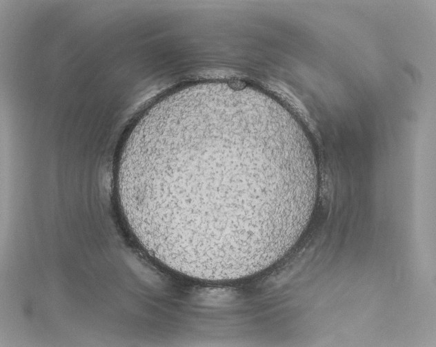 X0000114500063200911161242