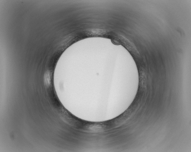 X0000114500075200911161243