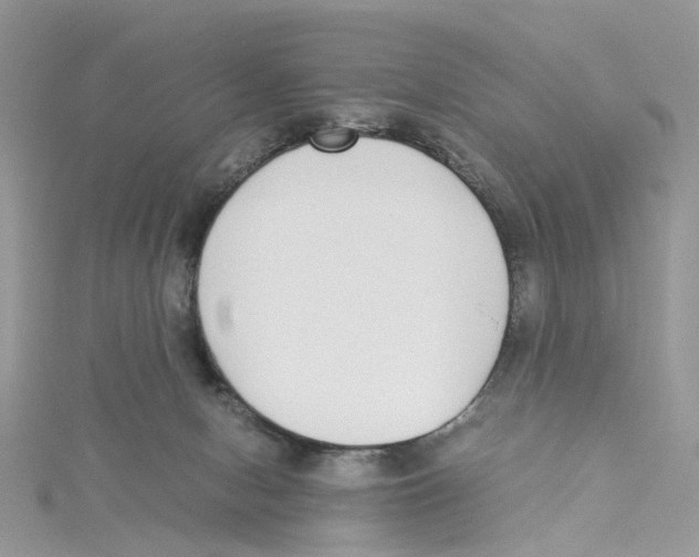 X0000114500078200911161243
