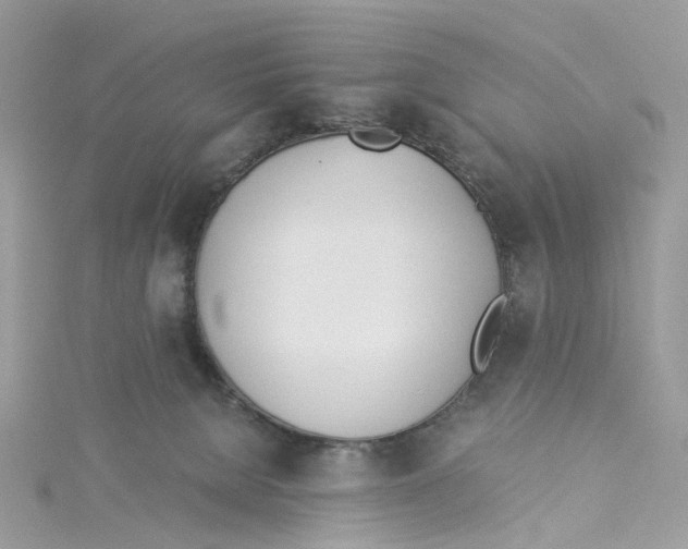 X0000114500080200911161243