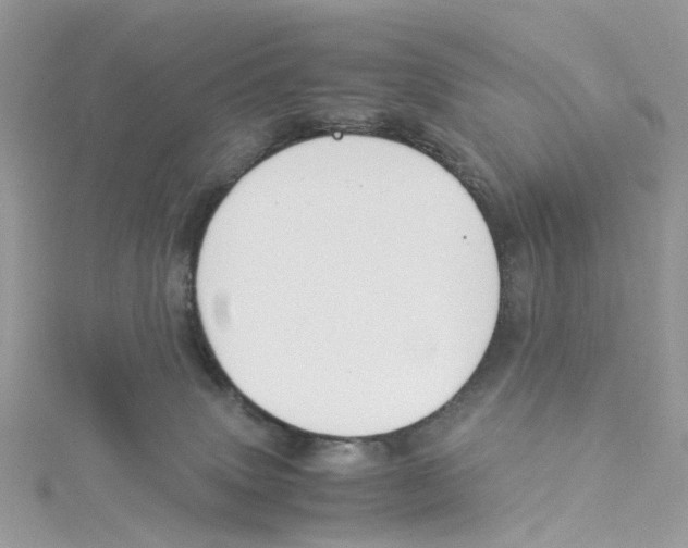 X0000114500083200911161243