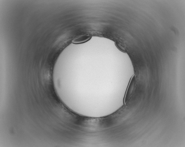 X0000114500084200911161243