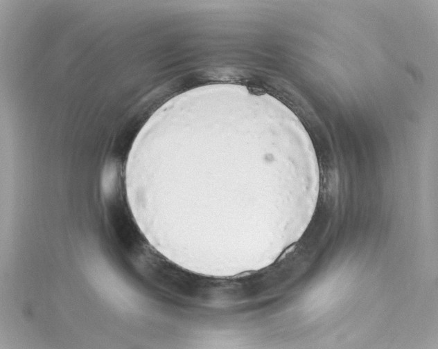 X0000114500095200911161243