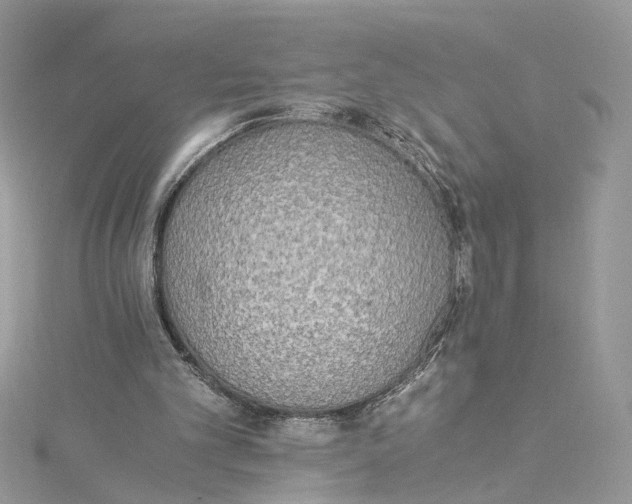 X0000114500101200911161242