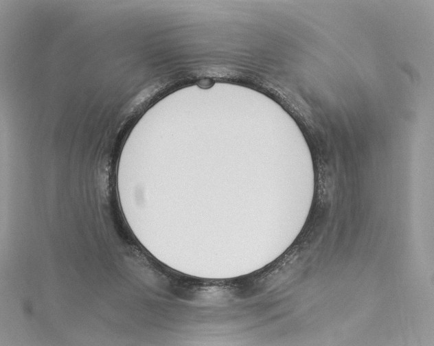 X0000114500111200911161242