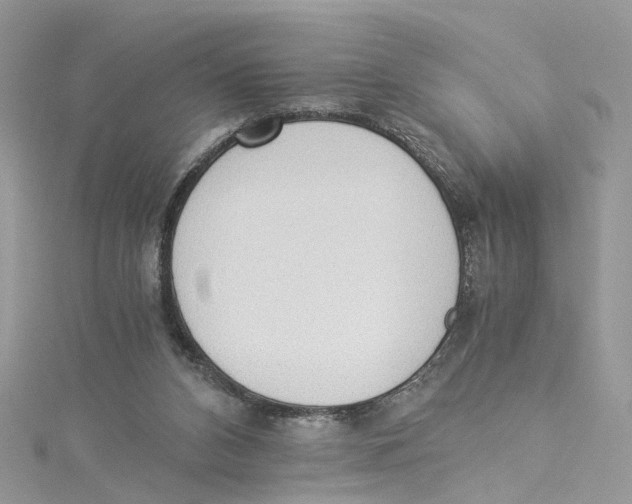 X0000114500112200911161242