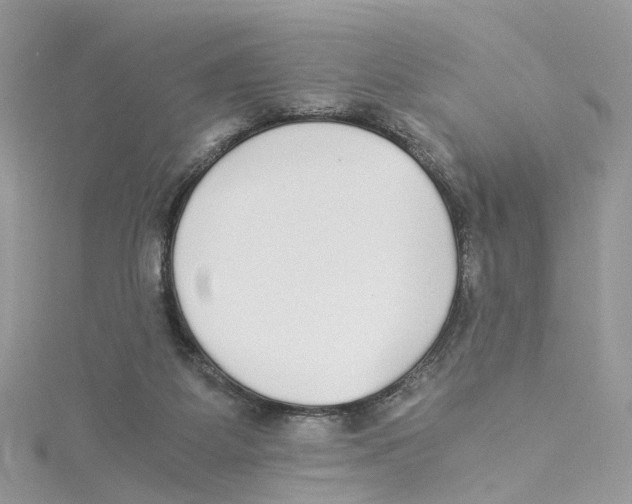 X0000114500115200911161242