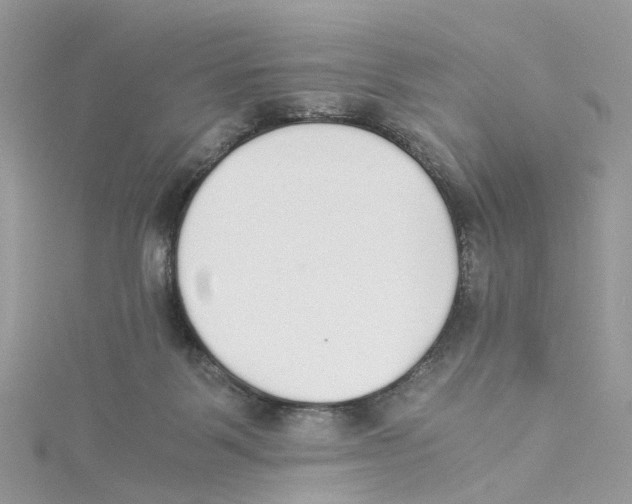 X0000114500123200911161242