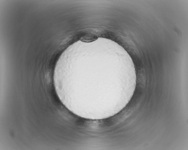 X0000114500131200911161242