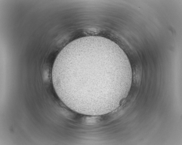 X0000114500134200911161242