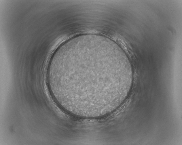 X0000114500145200911161241