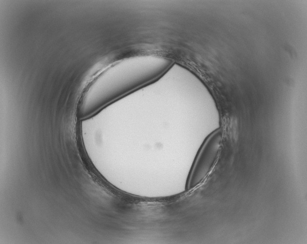 X0000114500150200911161241