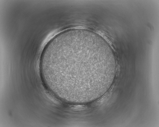 X0000114500151200911161241